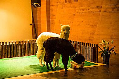 《死亡细胞》厂商新作《风中行者》要承担初代名气压力